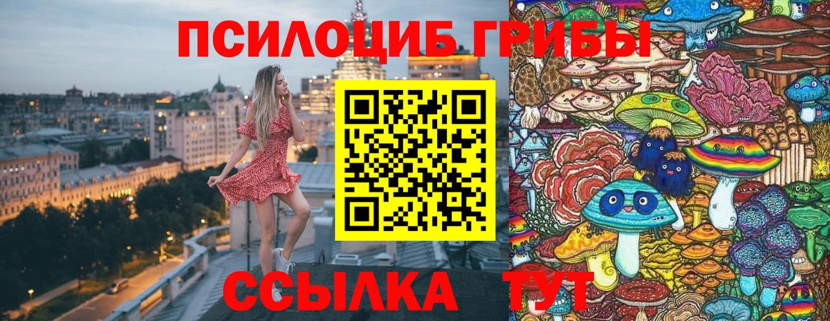 Галлюциногенные грибы прущие грибы Шелехов