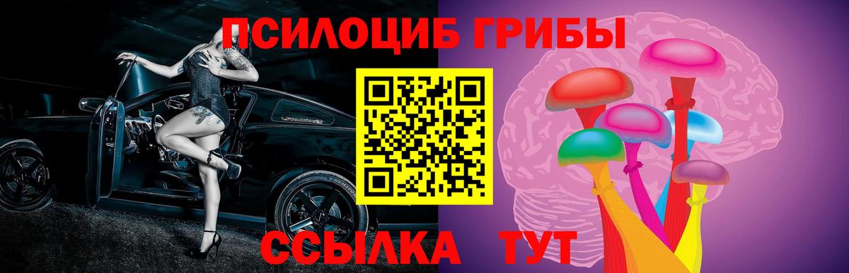 Шелехов  Галлюциногенные грибы Cubensis  где купить наркотик  Псилоцибиновые грибы прущие грибы  Вход с VPN 